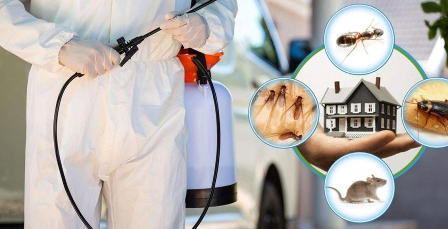Şirinyer Böcek İlaçlama