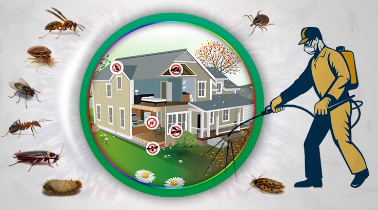 Şirinyer Böcek İlaçlama