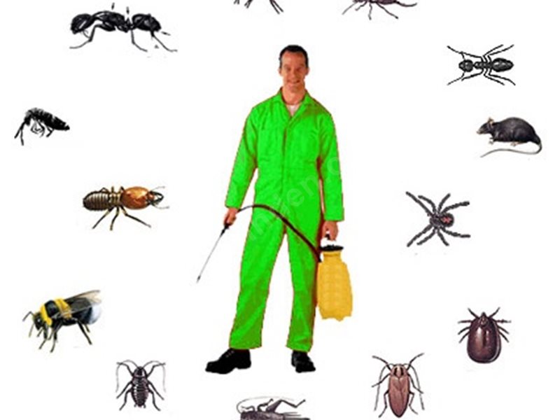 Şirinyer Böcek İlaçlama